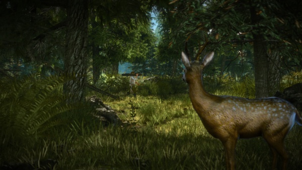 The Witcher 2: Assassins of Kings screenshot 2