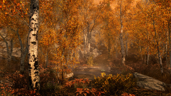 The Elder Scrolls V: Skyrim screenshot 3