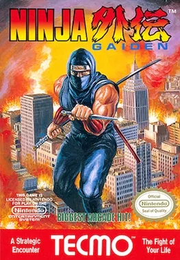 Ninja Gaiden screenshot 1