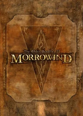 The Elder Scrolls III: Morrowind screenshot 1