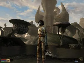 The Elder Scrolls III: Morrowind screenshot 3